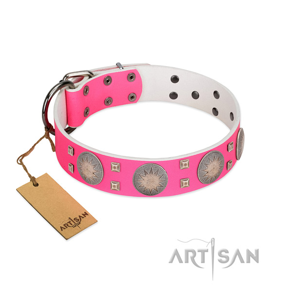 Stylish full grain natural leather dog collar with corrosion resistant buckle