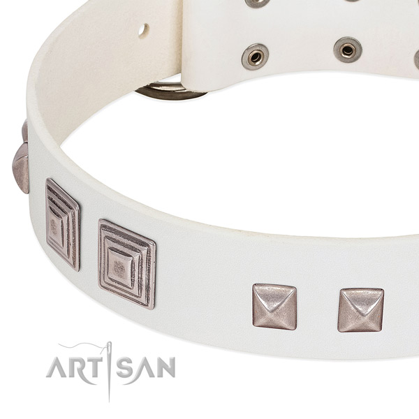 Full grain leather dog collar with rust-proof fittings