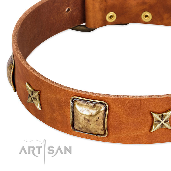 Strong traditional buckle on full grain genuine leather dog collar for your dog