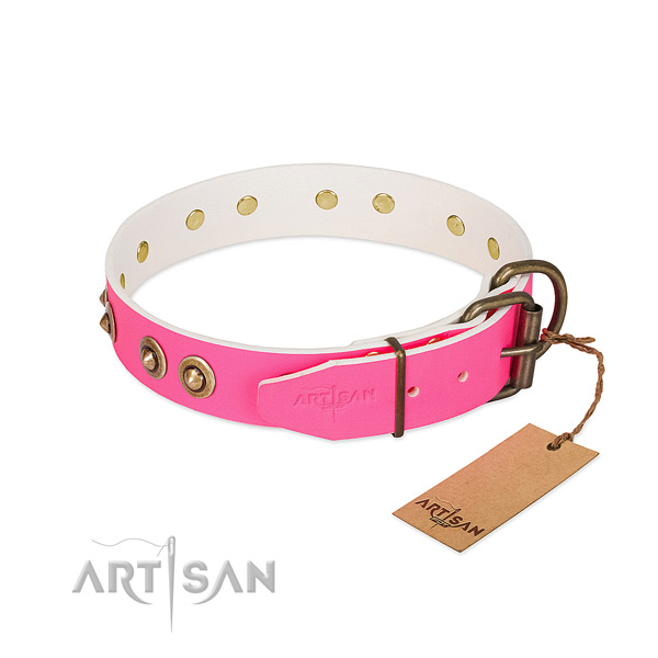 Full grain natural leather dog collar with durable fittings and embellishments