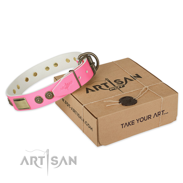 Reliable traditional buckle on dog collar for easy wearing