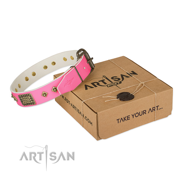 Rust-proof fittings on dog collar for basic training