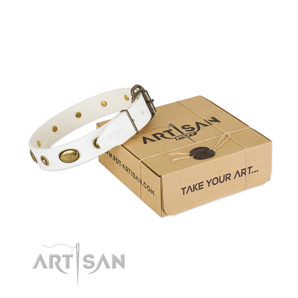 Significant full grain genuine leather collar for your lovely four-legged friend