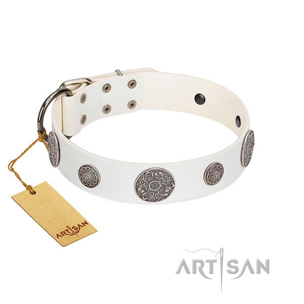Top quality genuine leather collar for your impressive four-legged friend