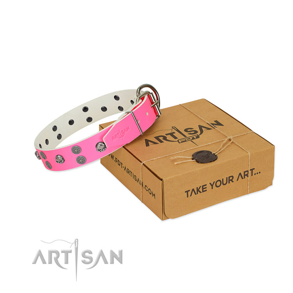 Walking leather dog collar with significant decorations