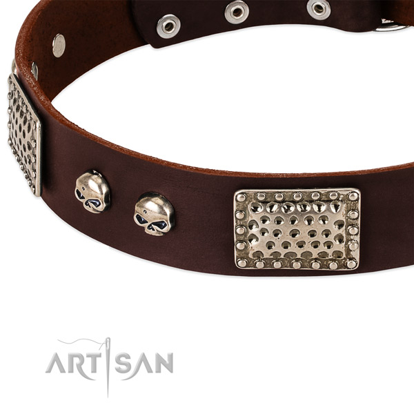 Corrosion proof buckle on full grain genuine leather dog collar for your pet