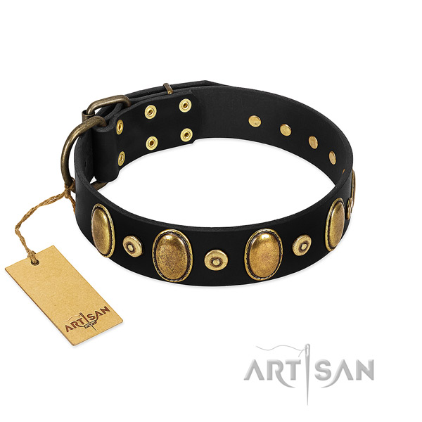 Rust resistant fittings on dog collar for daily walking