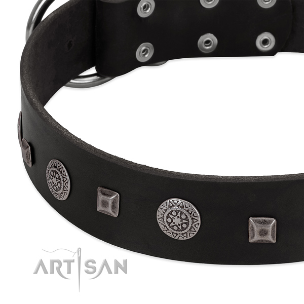 Exceptional full grain leather dog collar for fancy walking