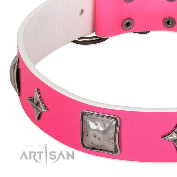 Trendy full grain leather dog collar with rust resistant adornments