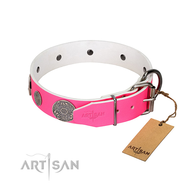 Unusual full grain leather collar for your impressive pet