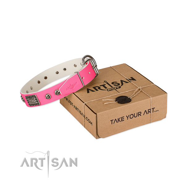 Reliable embellishments on dog collar for daily use