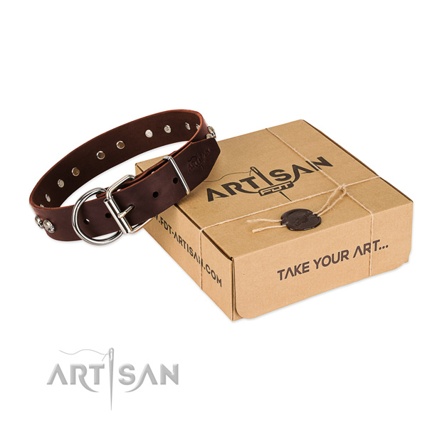Reliable hardware on dog collar for daily use