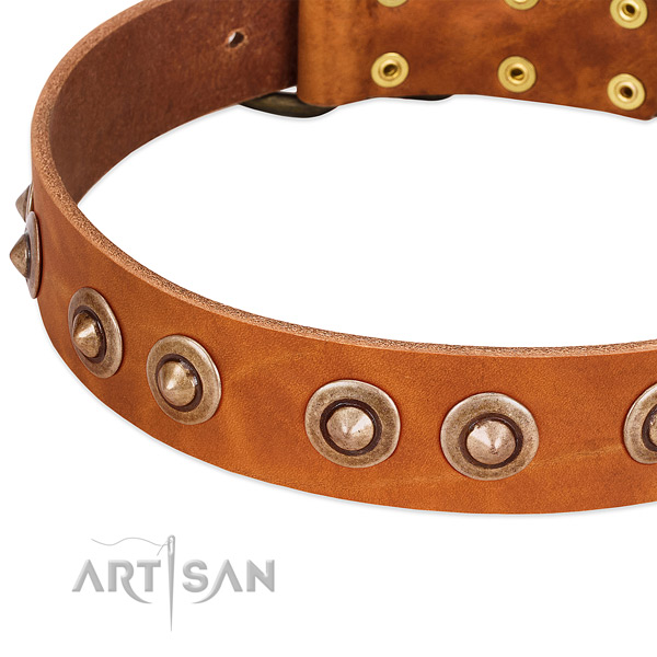 Corrosion resistant fittings on leather dog collar for your four-legged friend