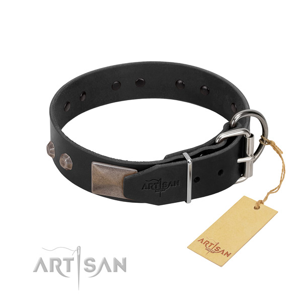Incredible full grain genuine leather dog collar for walking your dog