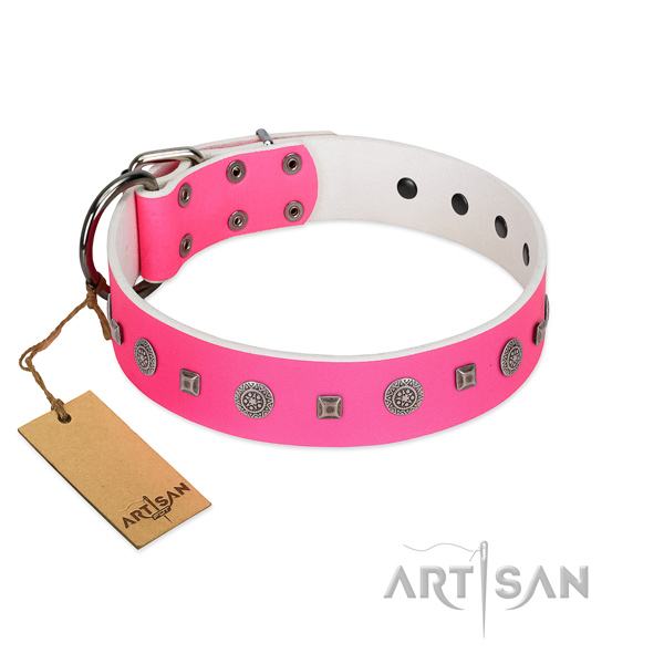 Daily use gentle to touch full grain leather dog collar with adornments