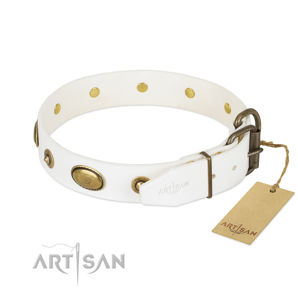 Durable decorations on full grain genuine leather dog collar for your doggie