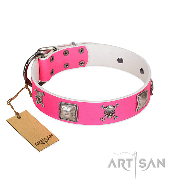 Incredible genuine leather collar for your stylish doggie