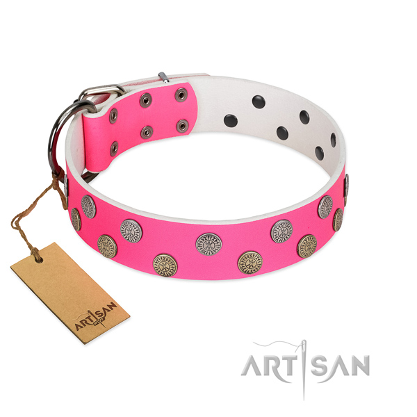 Significant embellishments on natural leather collar for comfy wearing your doggie