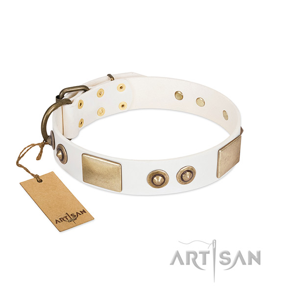 Reliable buckle on genuine leather dog collar for your doggie