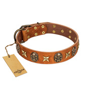 "Rockin' Doggie" FDT Artisan Tan Leather Pitbull Collar Adorned with Stars and Skulls