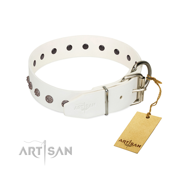 Top rate genuine leather dog collar with adornments for your four-legged friend