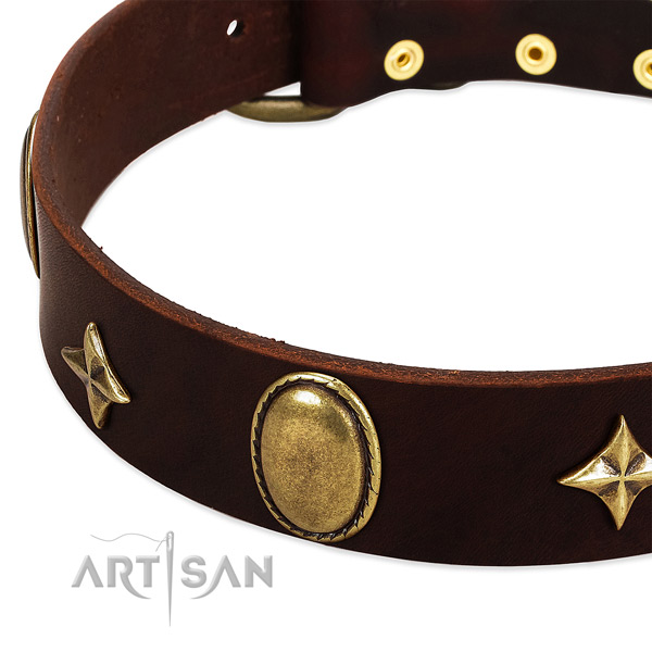 Top rate full grain genuine leather dog collar with corrosion proof hardware