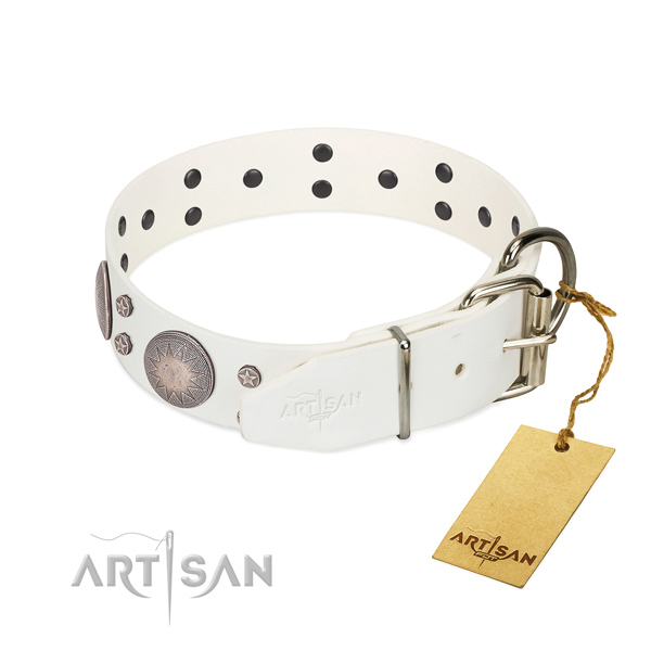 Comfy wearing studded leather dog collar