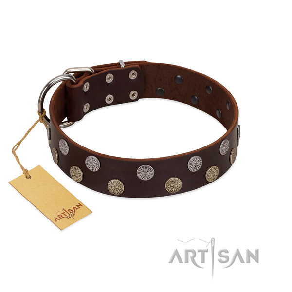 Trendy full grain leather collar for daily walking your four-legged friend