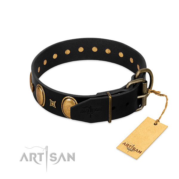 Rust resistant embellishments on handy use dog collar