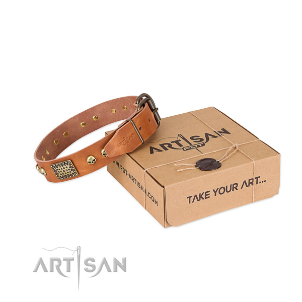 Rust resistant D-ring on dog collar for walking