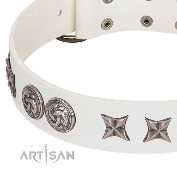 Full grain leather collar with unique embellishments for your pet