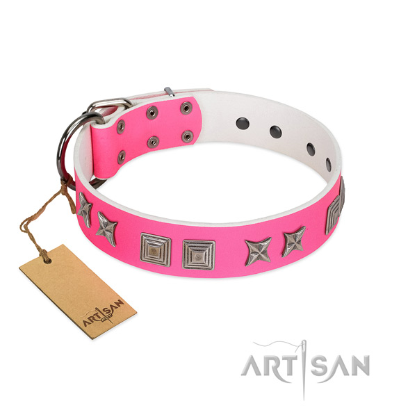 Full grain leather dog collar with incredible studs created canine