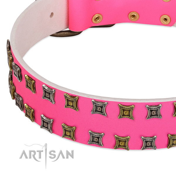Natural leather dog collar with decorations for your attractive four-legged friend