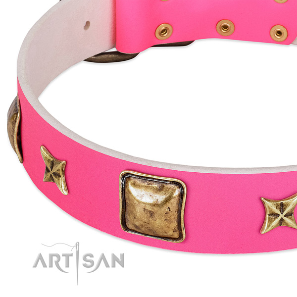 Natural leather dog collar with amazing studs