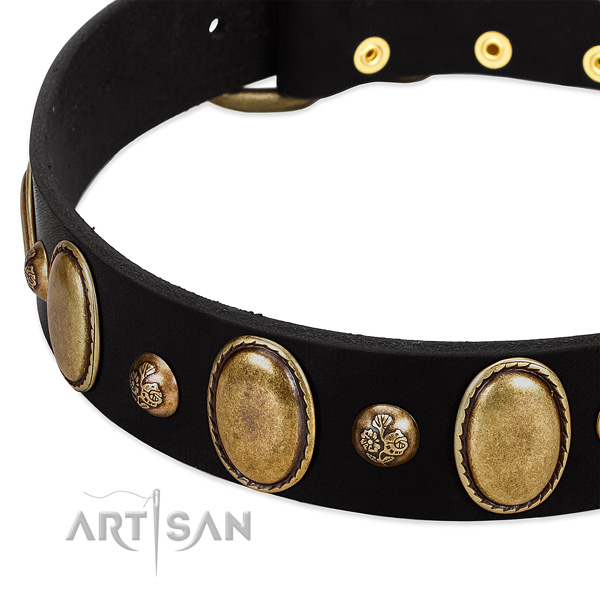 Full grain leather dog collar with significant studs