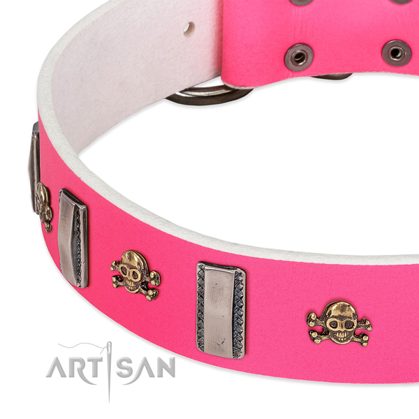Inimitable adornments on natural leather dog collar for everyday use