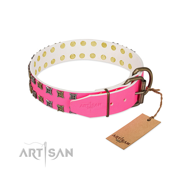 Full grain genuine leather collar with impressive studs for your four-legged friend