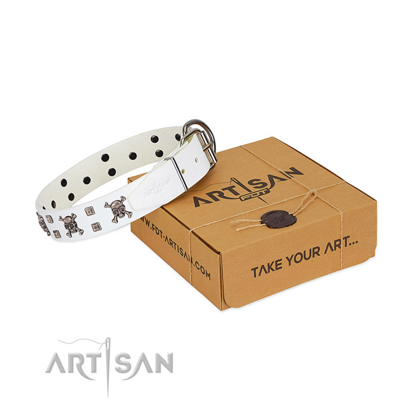 Gentle to touch leather dog collar with durable fittings