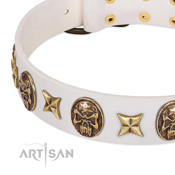Exceptional dog collar handcrafted for your lovely doggie