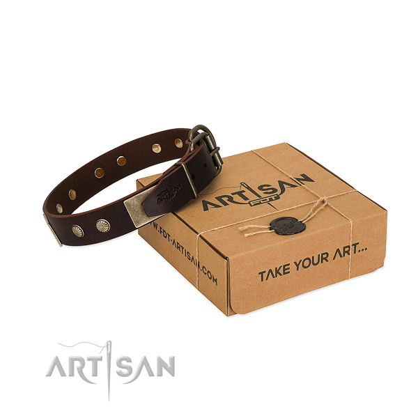 Rust resistant embellishments on dog collar for comfortable wearing