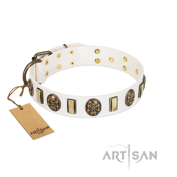 Incredible leather dog collar for comfortable wearing