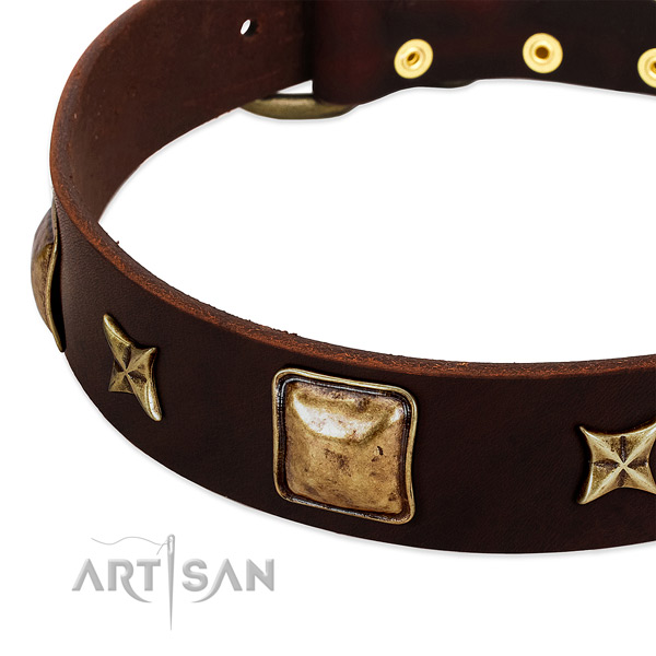 Strong embellishments on full grain leather dog collar for your four-legged friend