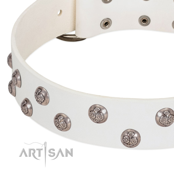 Full grain natural leather dog collar with durable fittings and embellishments