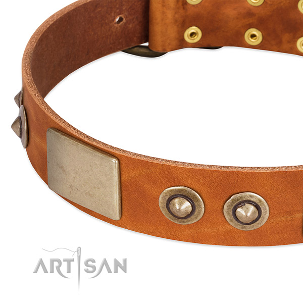 Corrosion resistant adornments on genuine leather dog collar for your four-legged friend