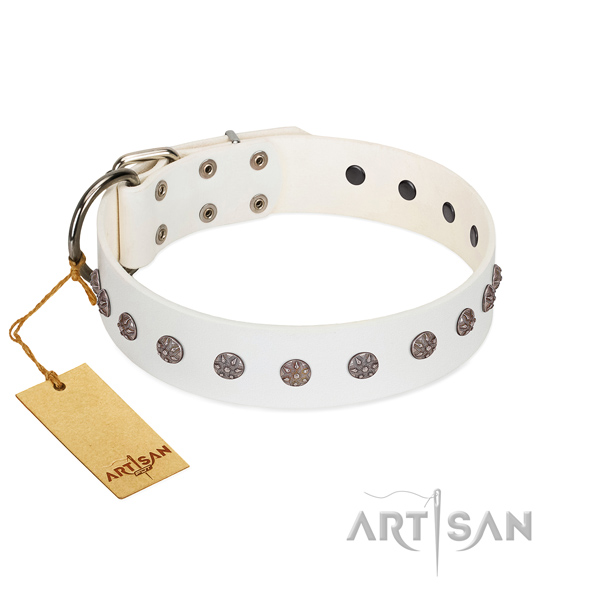 Daily walking leather dog collar with exquisite studs