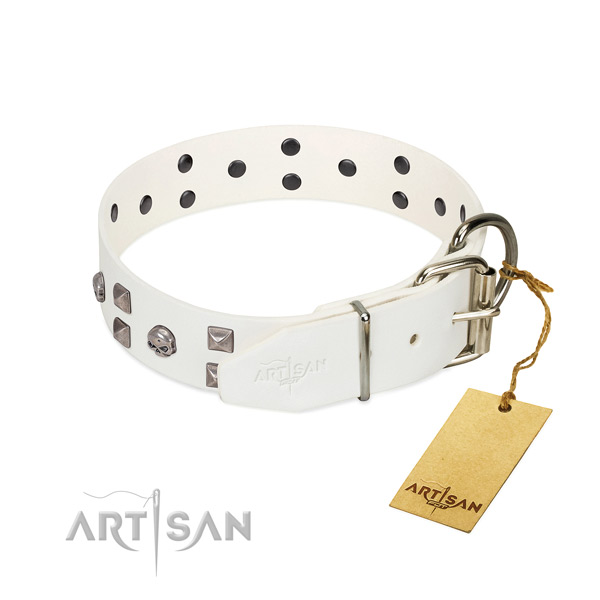 Top notch full grain natural leather dog collar with studs for your dog