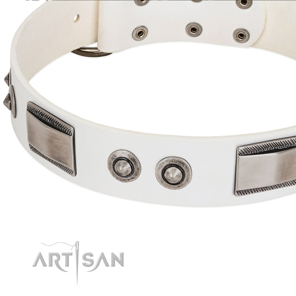 Trendy dog collar of leather with studs