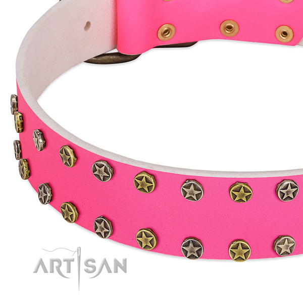 Quality natural leather collar with embellishments for your dog