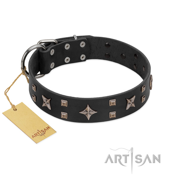 Corrosion resistant adornments on full grain genuine leather dog collar for your canine