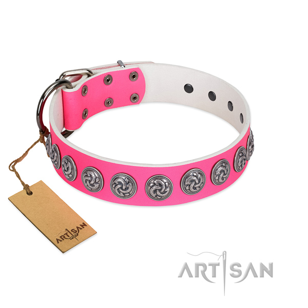 Adorned leather dog collar with rust-proof traditional buckle